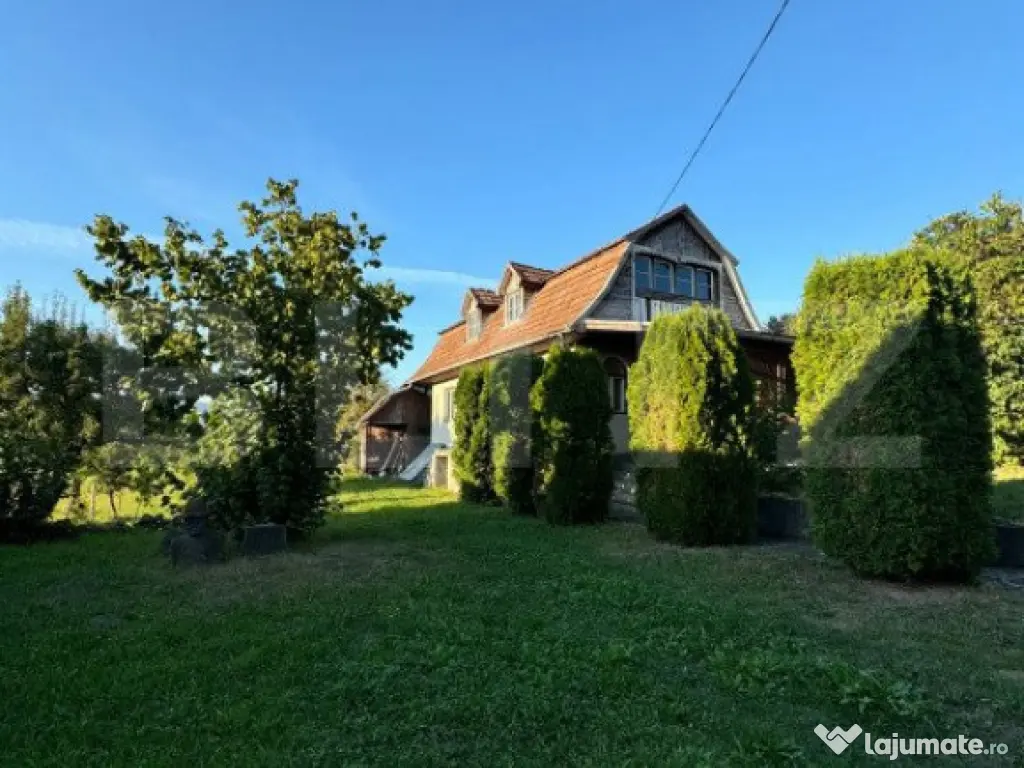 Casa in Aluniș, 10.000 mp de teren, cu vie si livada, veder