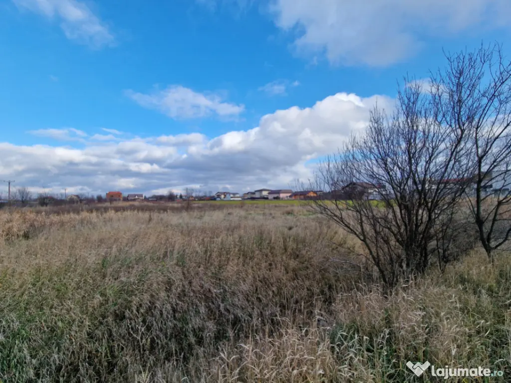 Cornetu, Str Aeroportului, teren 2470mp, deschidere 27ml, ut 