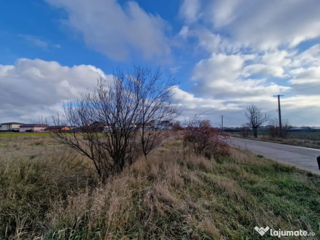 Cornetu, Str Aeroportului, teren 2470mp, deschidere 27ml, ut 