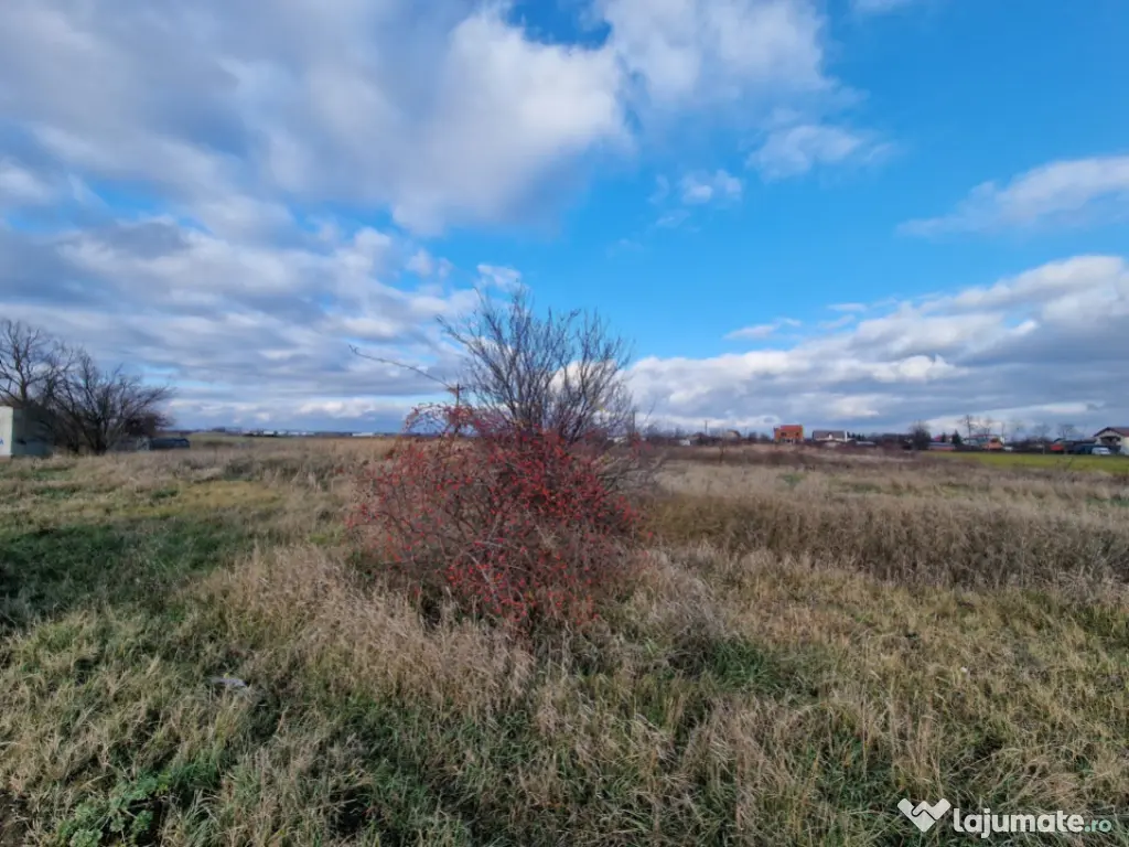 Cornetu, Str Aeroportului, teren 2470mp, deschidere 27ml, ut 