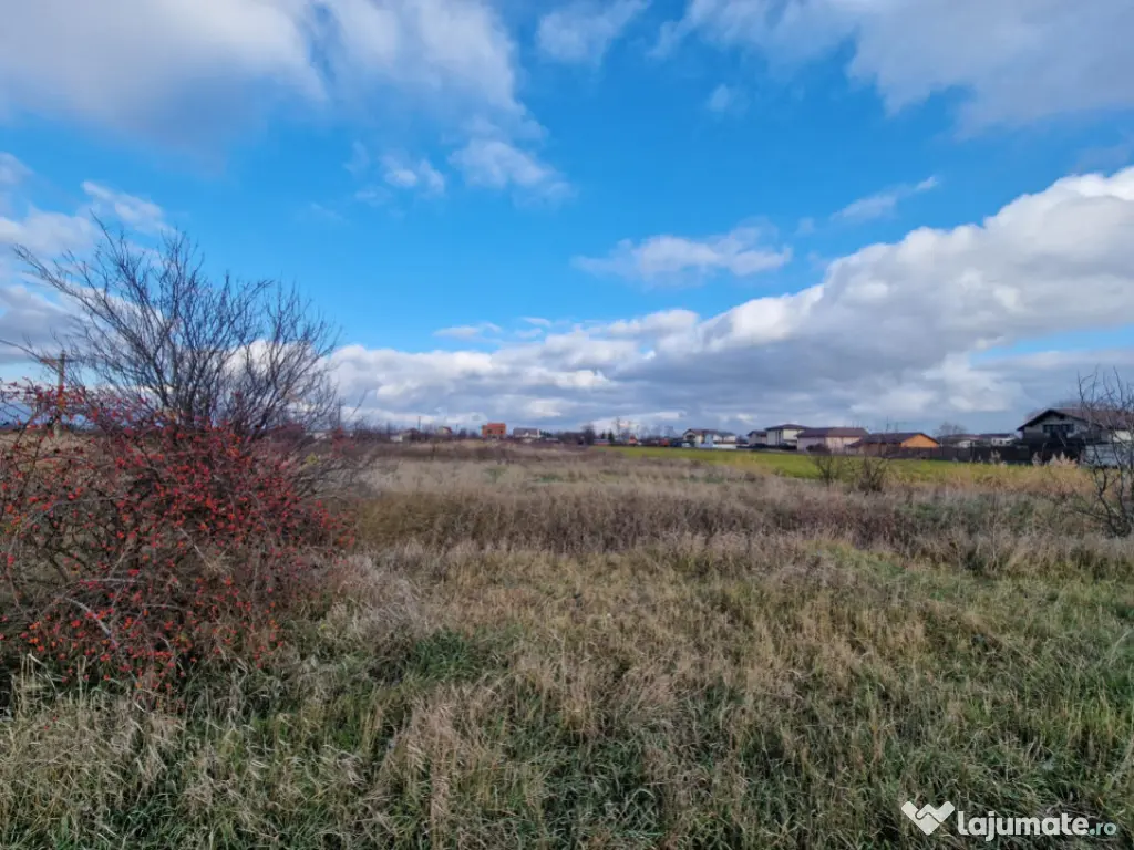 Cornetu, Str Aeroportului, teren 2470mp, deschidere 27ml, ut 