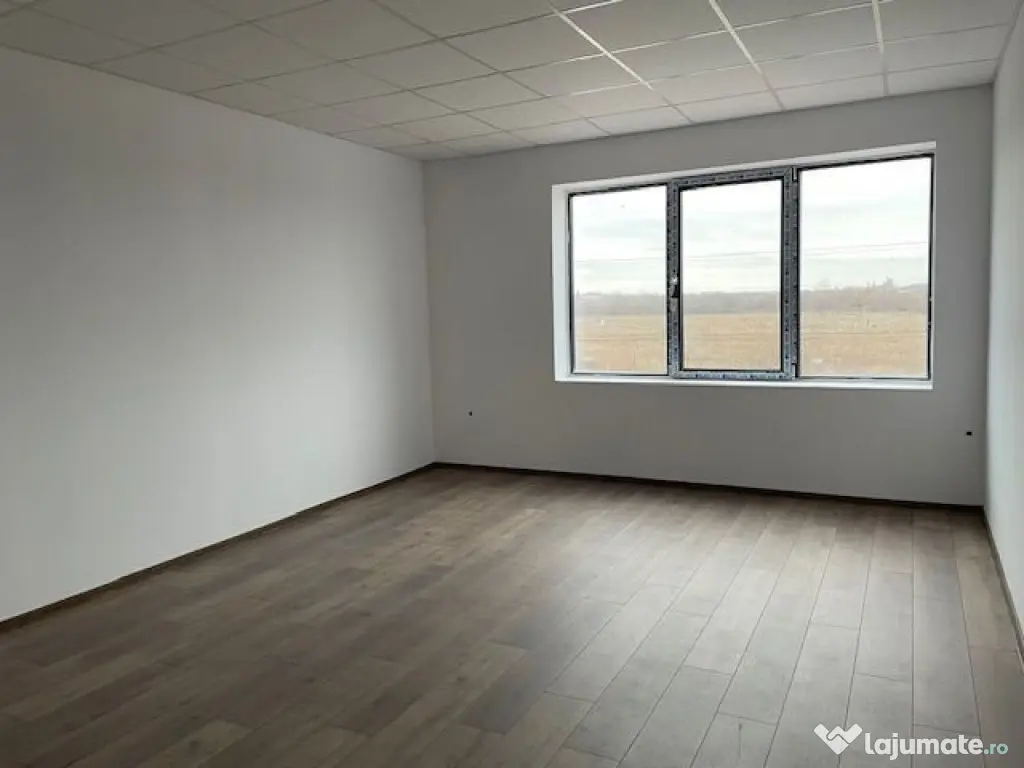 Spatiu depozitare si productie Soseaua de centrua Chitila