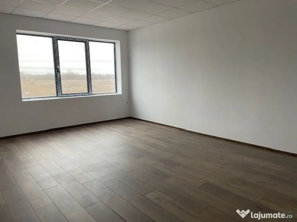 Spatiu depozitare si productie Soseaua de centrua Chitila