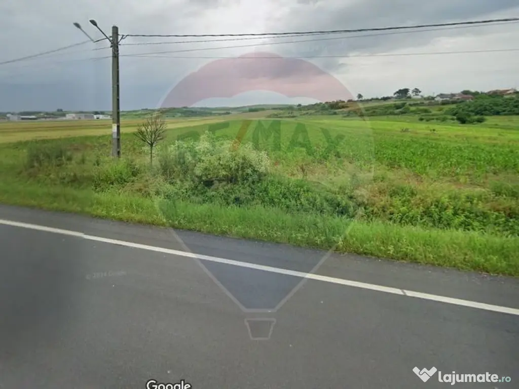 Teren 4 948 mp Bradesti / Racarii de Jos 