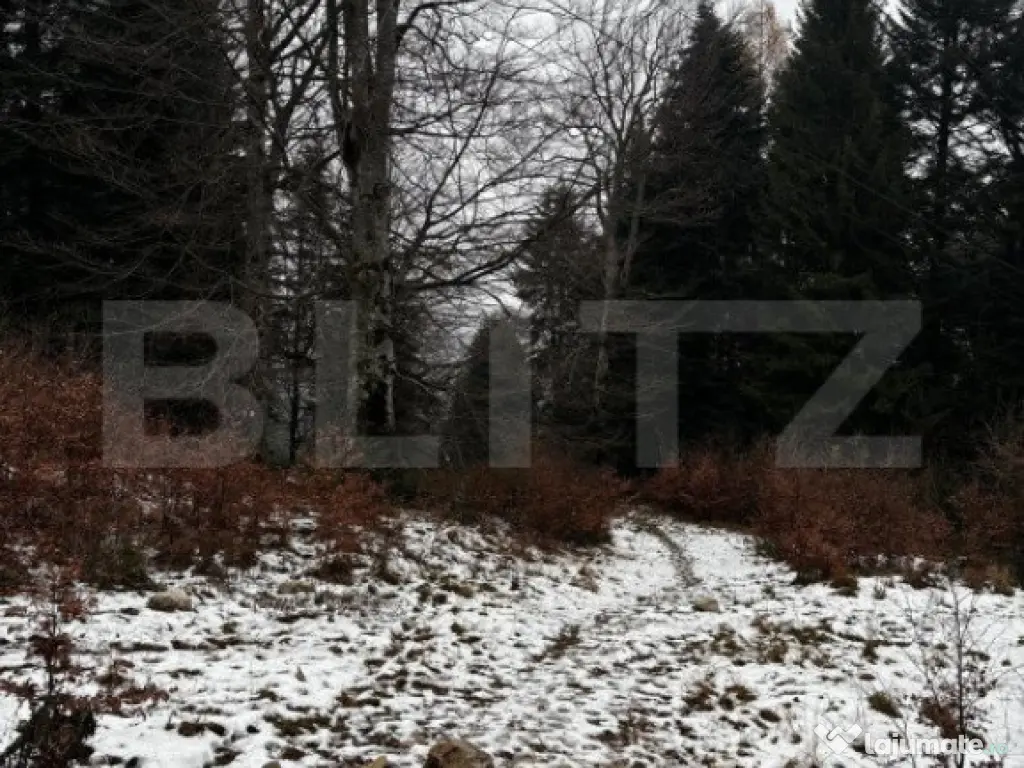 Teren unic, exclusivist 4000 mp, in inima muntilor, Sinaia