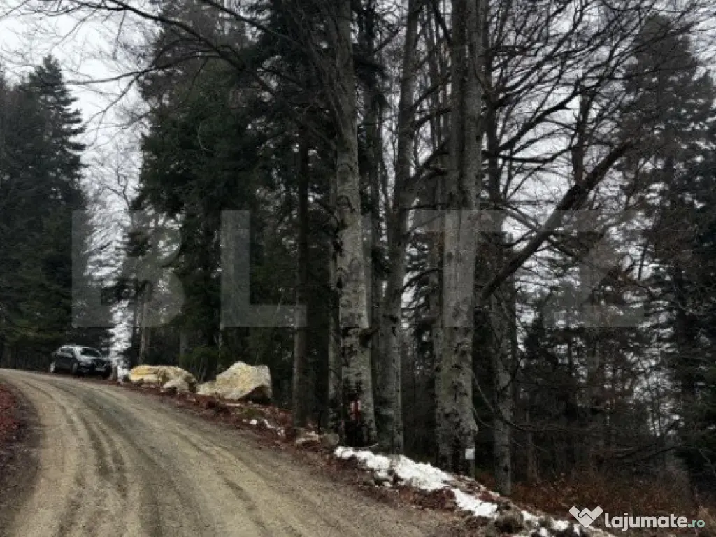 Teren unic, exclusivist 4000 mp, in inima muntilor, Sinaia