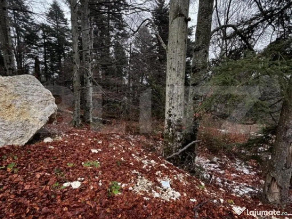 Teren unic, exclusivist 4000 mp, in inima muntilor, Sinaia