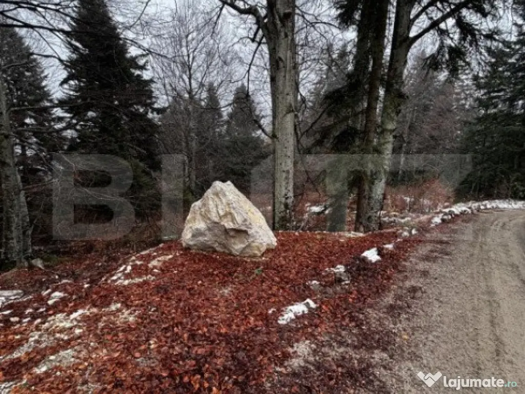 Teren unic, exclusivist 4000 mp, in inima muntilor, Sinaia
