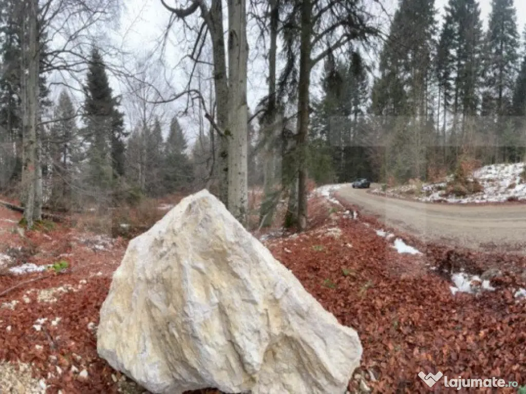 Teren unic, exclusivist 4000 mp, in inima muntilor, Sinaia