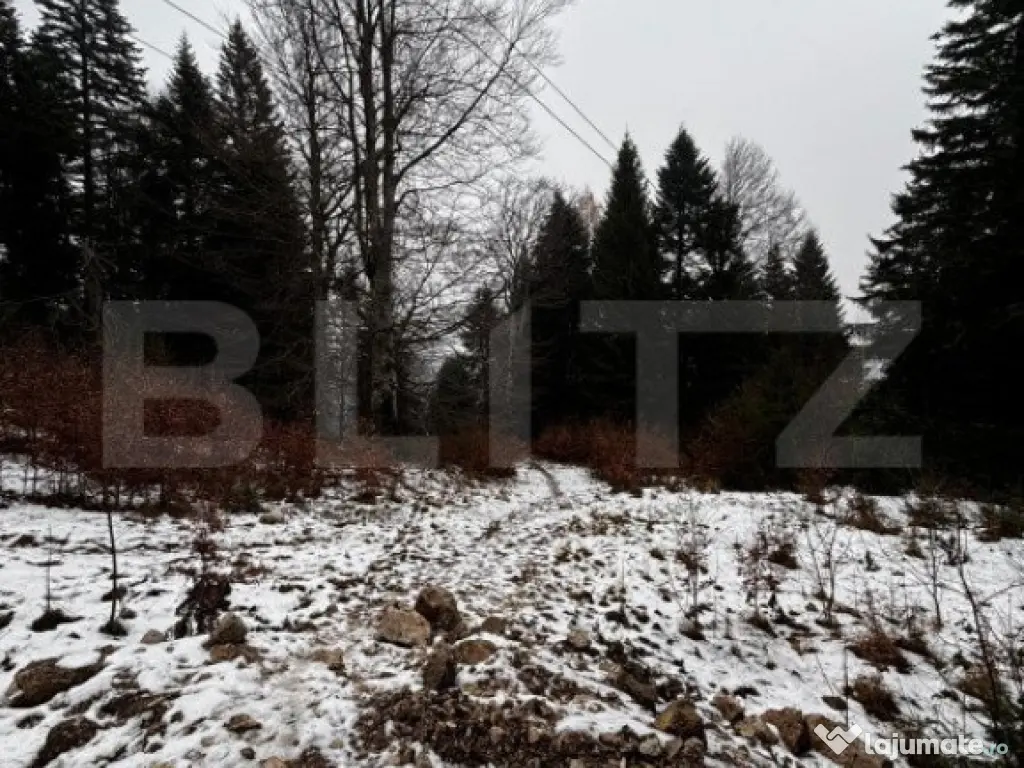 Teren unic, exclusivist 4000 mp, in inima muntilor, Sinaia