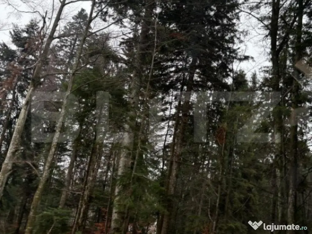 Teren unic, exclusivist 4000 mp, in inima muntilor, Sinaia