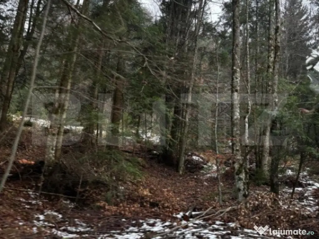 Teren unic, exclusivist 4000 mp, in inima muntilor, Sinaia