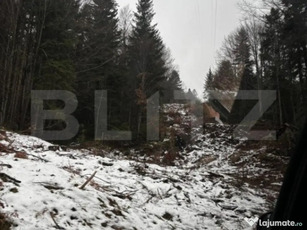 Teren unic, exclusivist 4000 mp, in inima muntilor, Sinaia