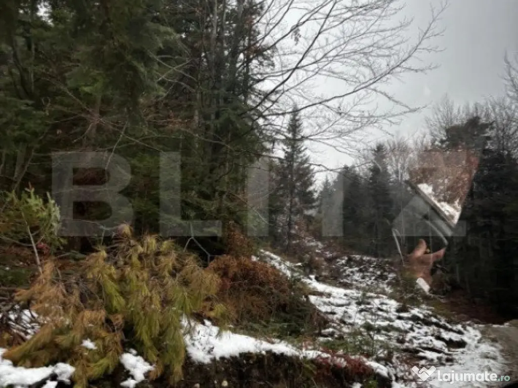 Teren unic, exclusivist 4000 mp, in inima muntilor, Sinaia