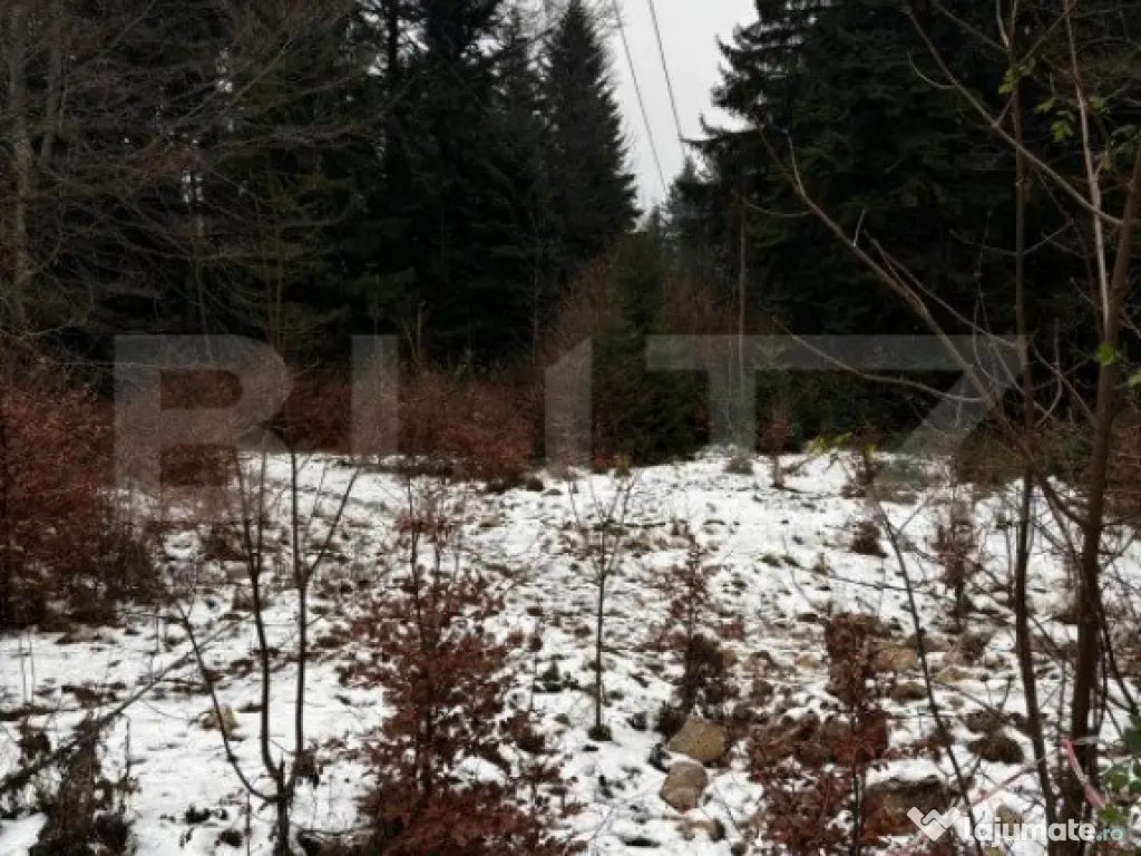 Teren unic, exclusivist 4000 mp, in inima muntilor, Sinaia