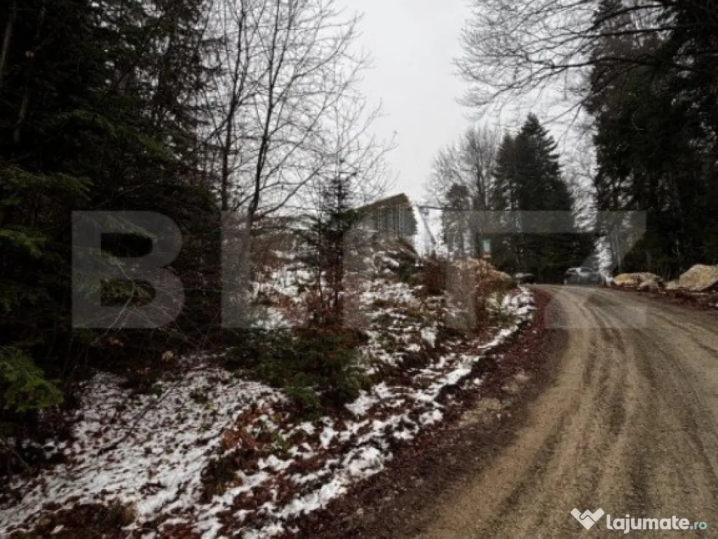 Teren unic, exclusivist 4000 mp, in inima muntilor, Sinaia