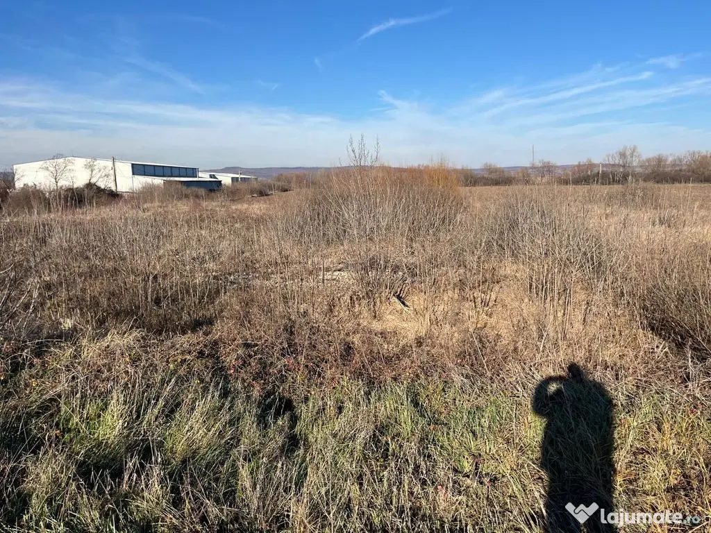 Teren intravilan, Săcădat, 27 921 mp. 9,5 Euro/mp. Comi... 
