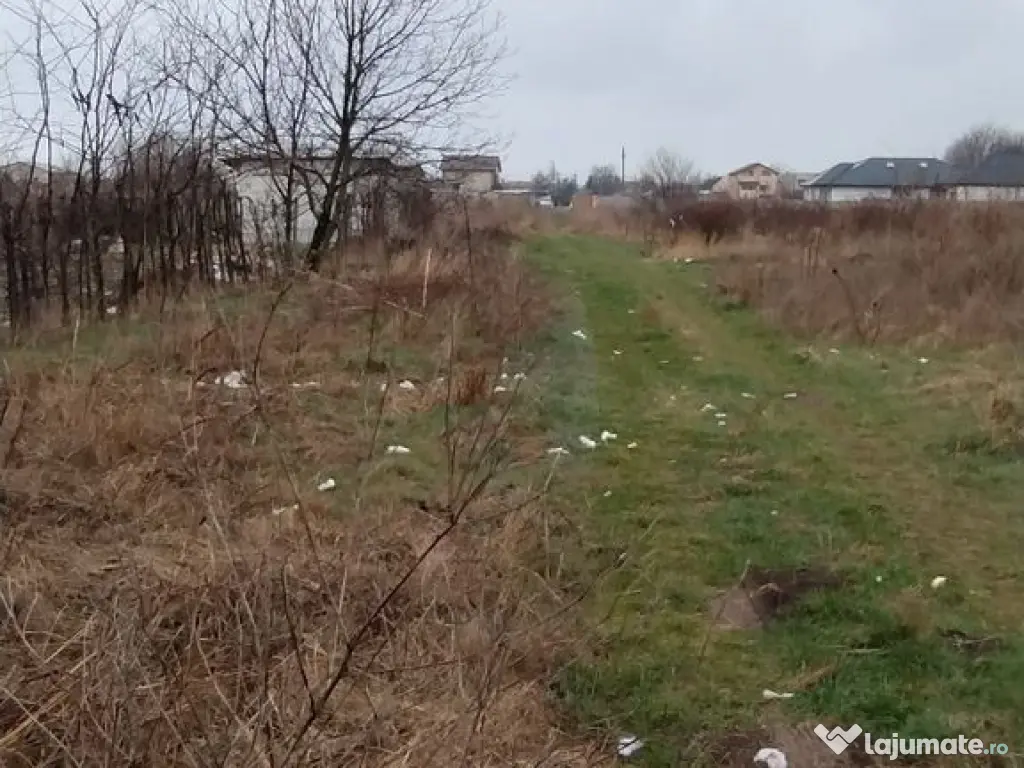 Teren investiție Km 5- Vila Cucoanei 