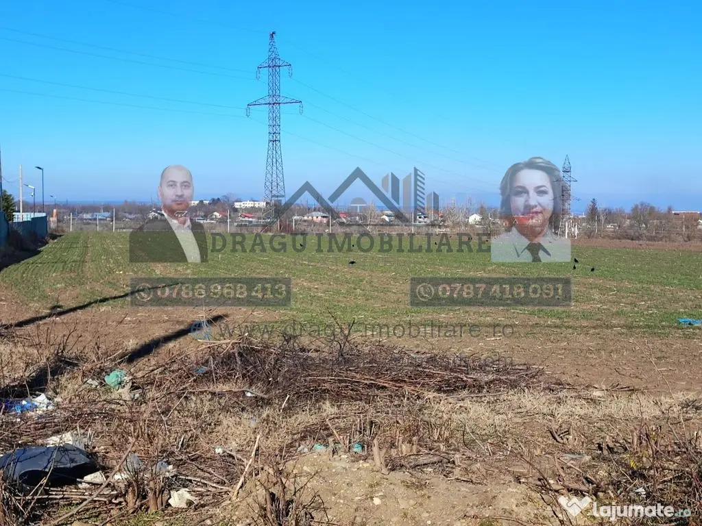 Teren Statia Meteo Balcescu/ 2 loturi de 5000 mp /Tecuci 