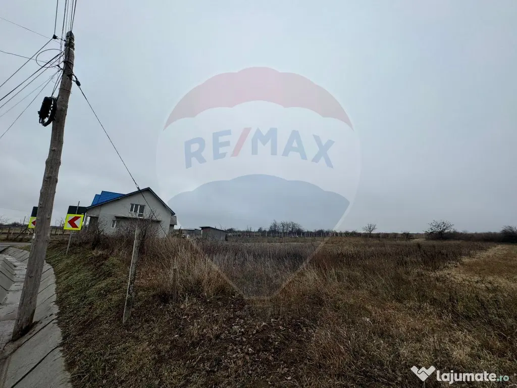 Teren intravilan 2,146 mp Carligele / Strada Vinului