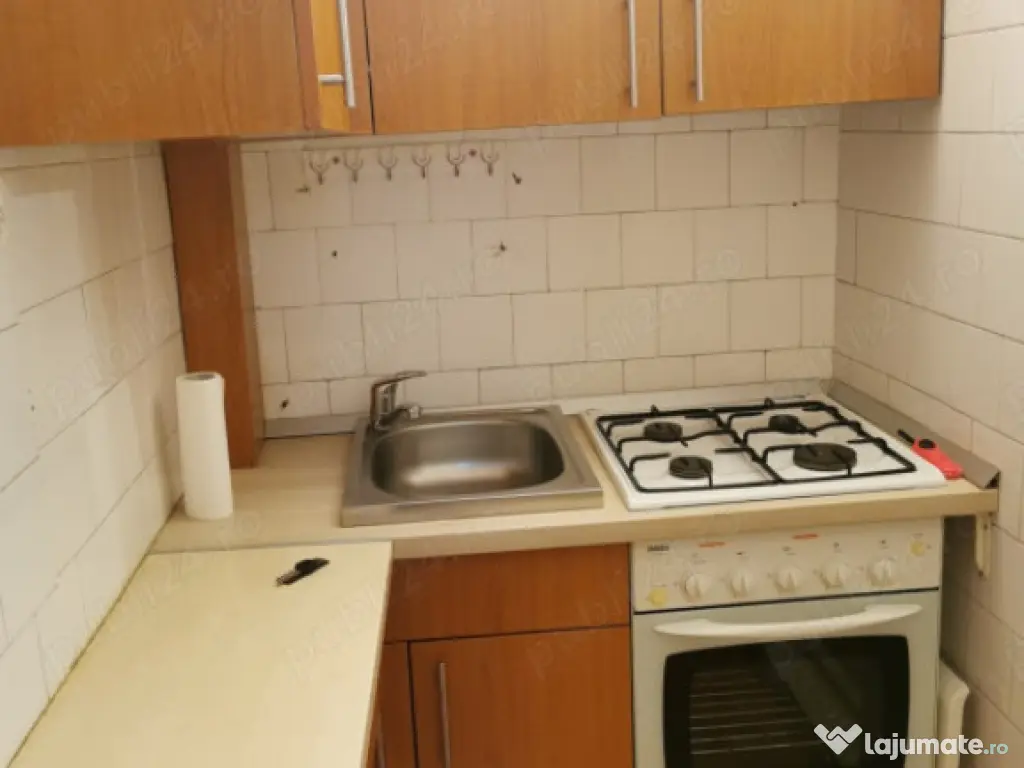 Garsonieră Buziașului 