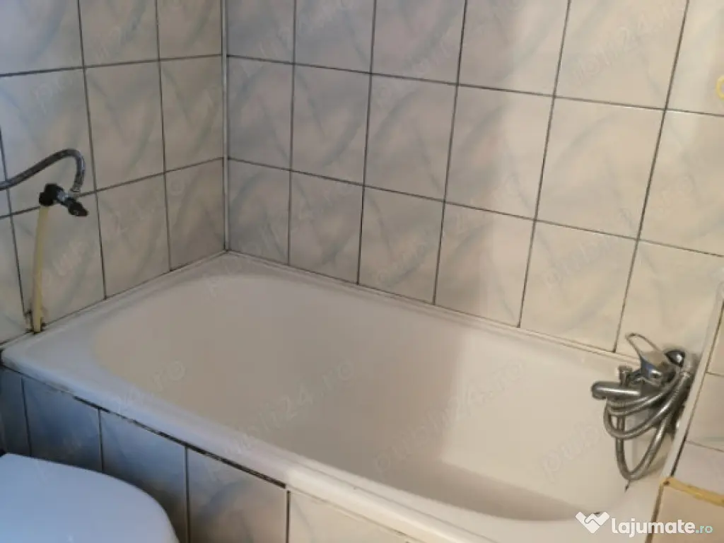 Garsonieră Buziașului 