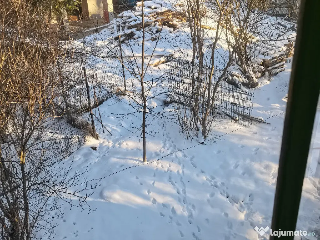 Predeal-Casa de vacanta 