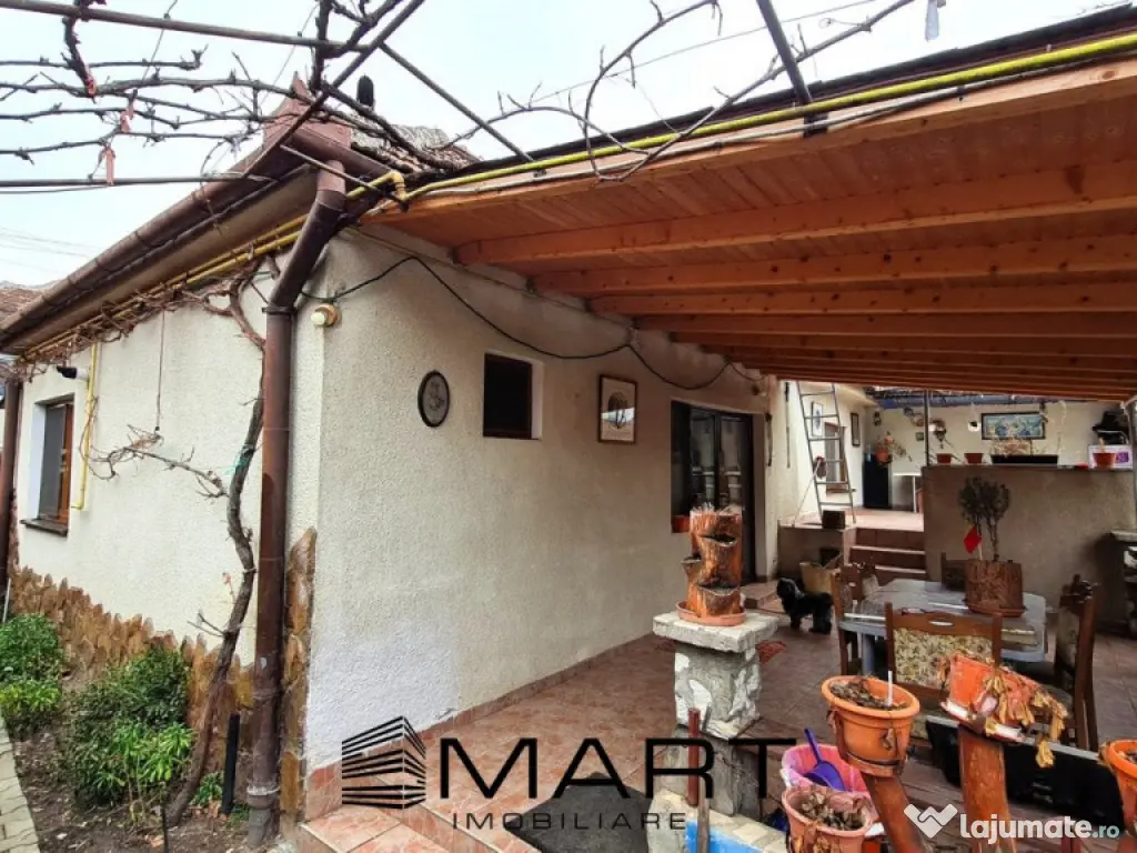 Casa individuala 100mp teren 530mp Terezian