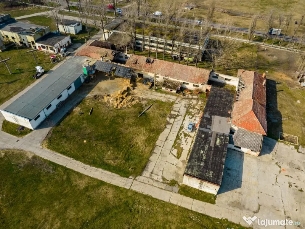 Teren industrial 42 ha Vama Nadlac 