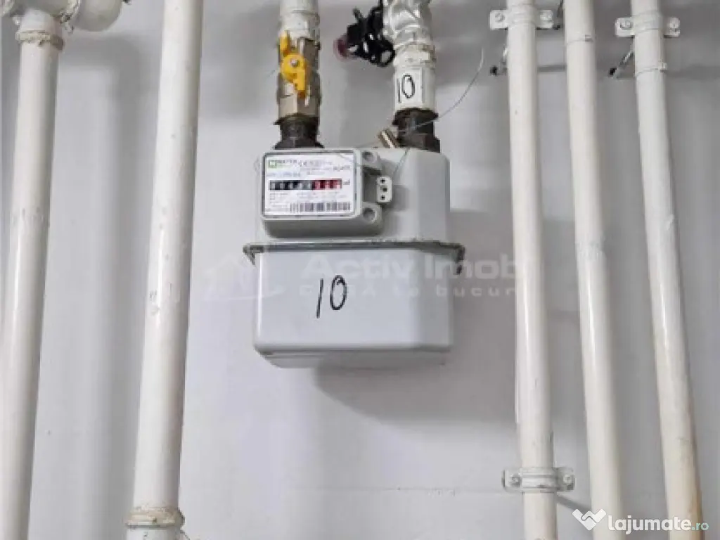 Casa de vacanta - 1.800 mp - Varful lui Roman - Horezu 