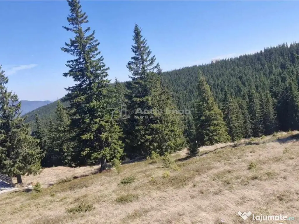 Casa de vacanta - 1.800 mp - Varful lui Roman - Horezu 