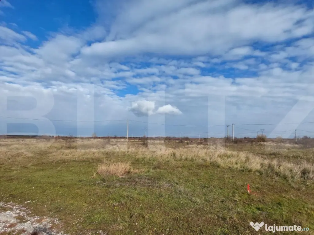 Teren arabil, 25 ha, Sinmihaiul Roman