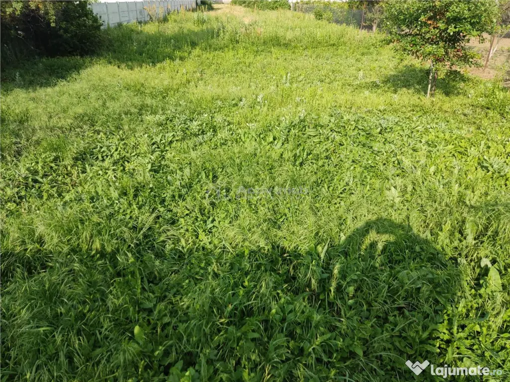 Loturi teren -Mihailesti Giurgiu-Pozitie centrala