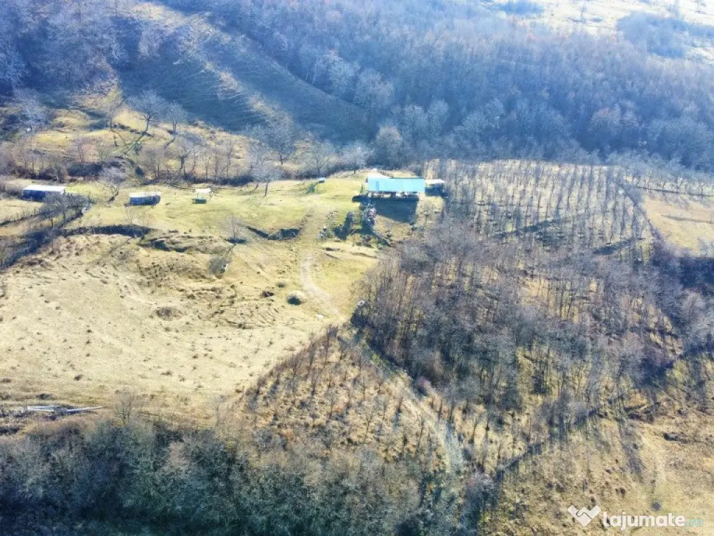 OPORTUNITATE DE INVESTITIE, TEREN 8630 MP, CALIMANESTI 