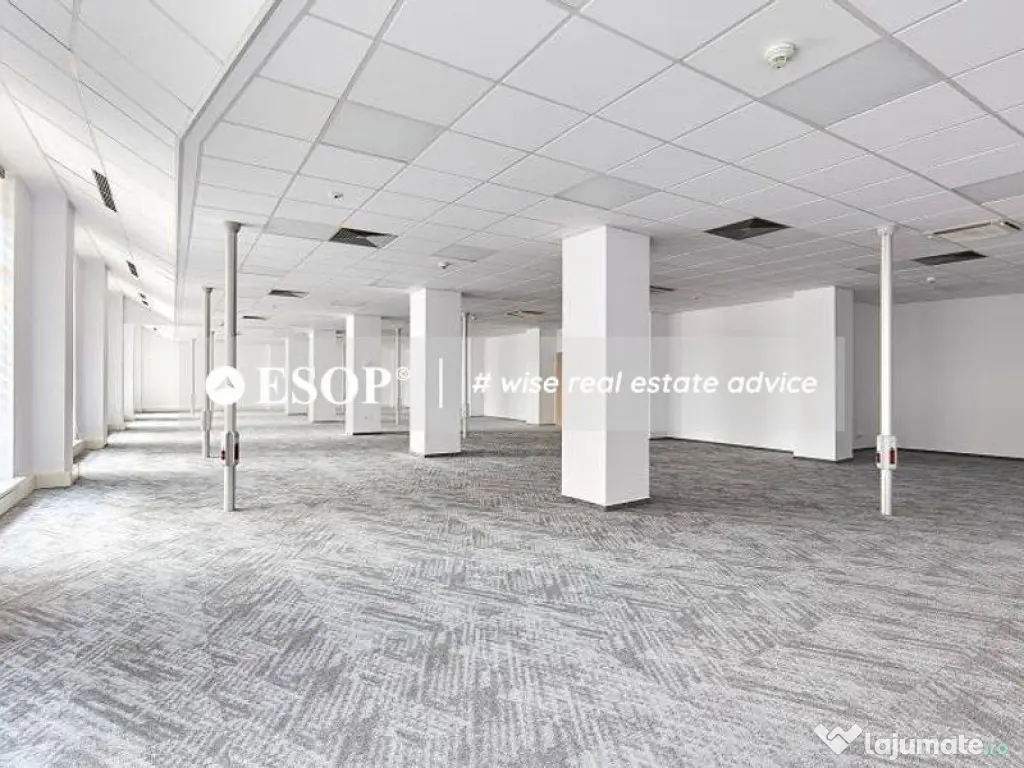 Central Business Park, Marasesti, 273 - 2160 mp 0% comision! 