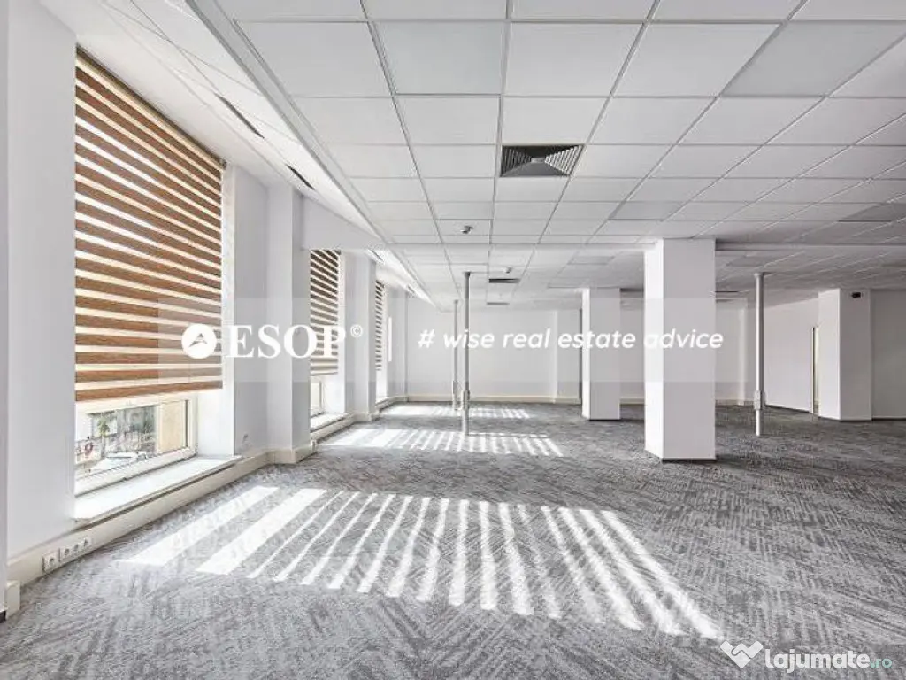 Central Business Park, Marasesti, 273 - 2160 mp 0% comision! 