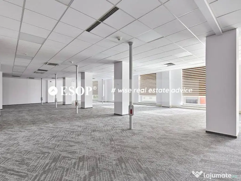 Central Business Park, Marasesti, 273 - 2160 mp 0% comision! 