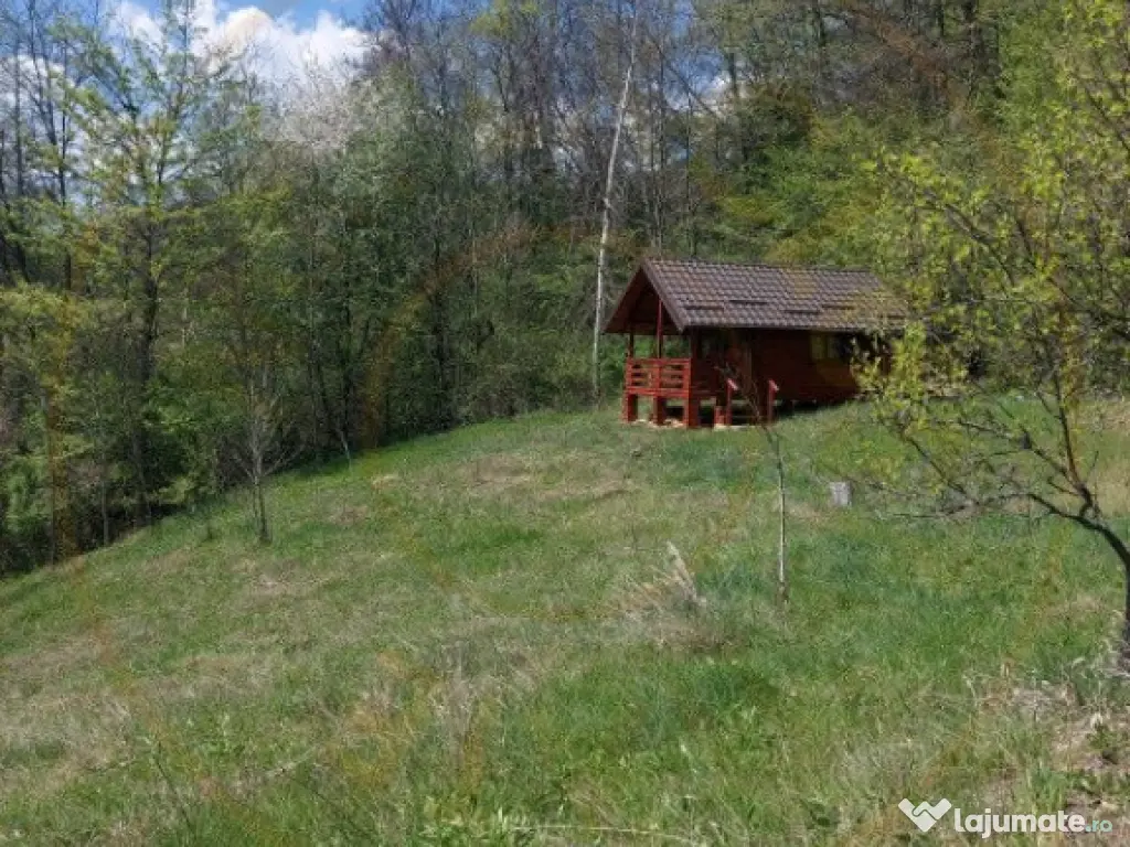 Casa imbratisata de padure - Valea Ursului, Bascov