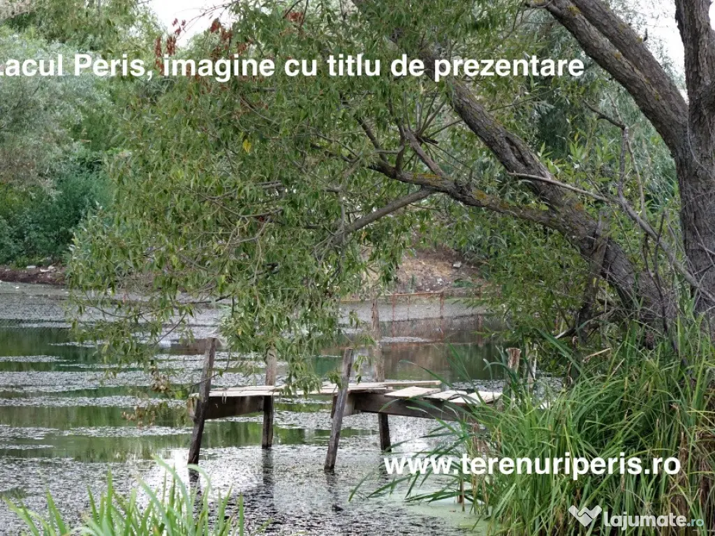 Teren Peris 500mp IN RATE 500 € teren langa Ciolpani, Izvorani 