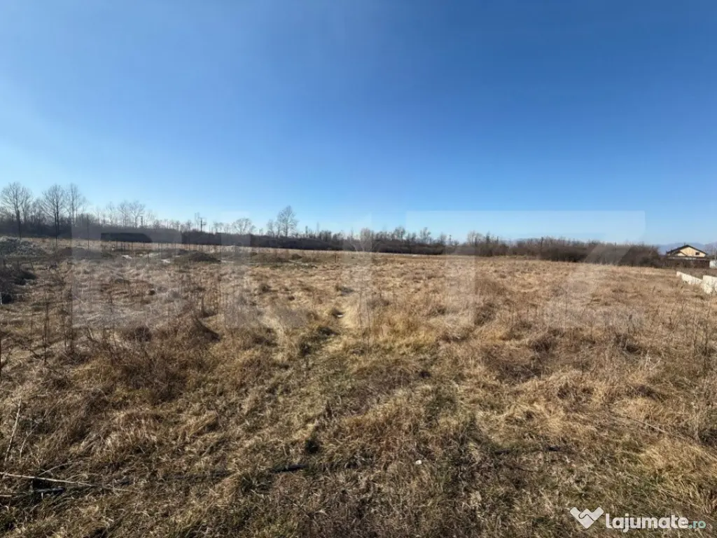 Teren Intravilan de vanzare, 2.574 mp, zona Dragutesti