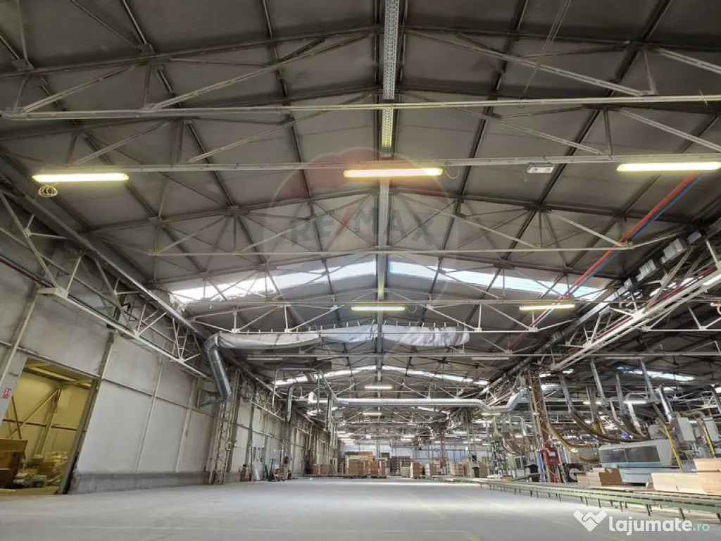DE VANZARE Hala | 17.230mp | 4MW | 3ha Teren | Sebes | A1 