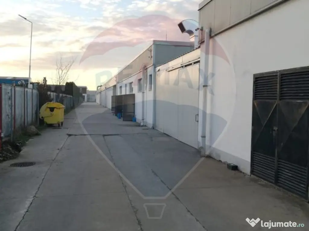 DE VANZARE Hala | 17.230mp | 4MW | 3ha Teren | Sebes | A1 