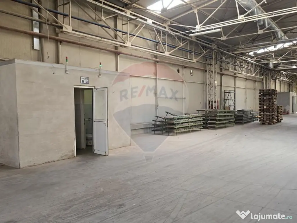 DE VANZARE Hala | 17.230mp | 4MW | 3ha Teren | Sebes | A1 