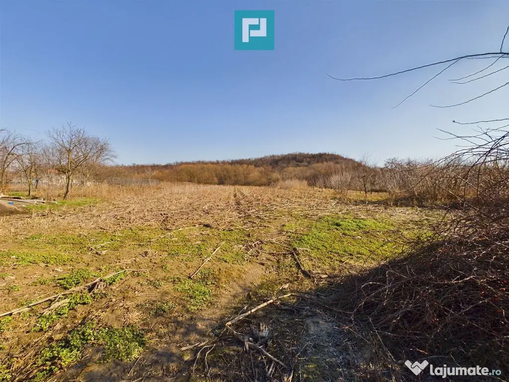 Casă rustică de vânzare în Tauț