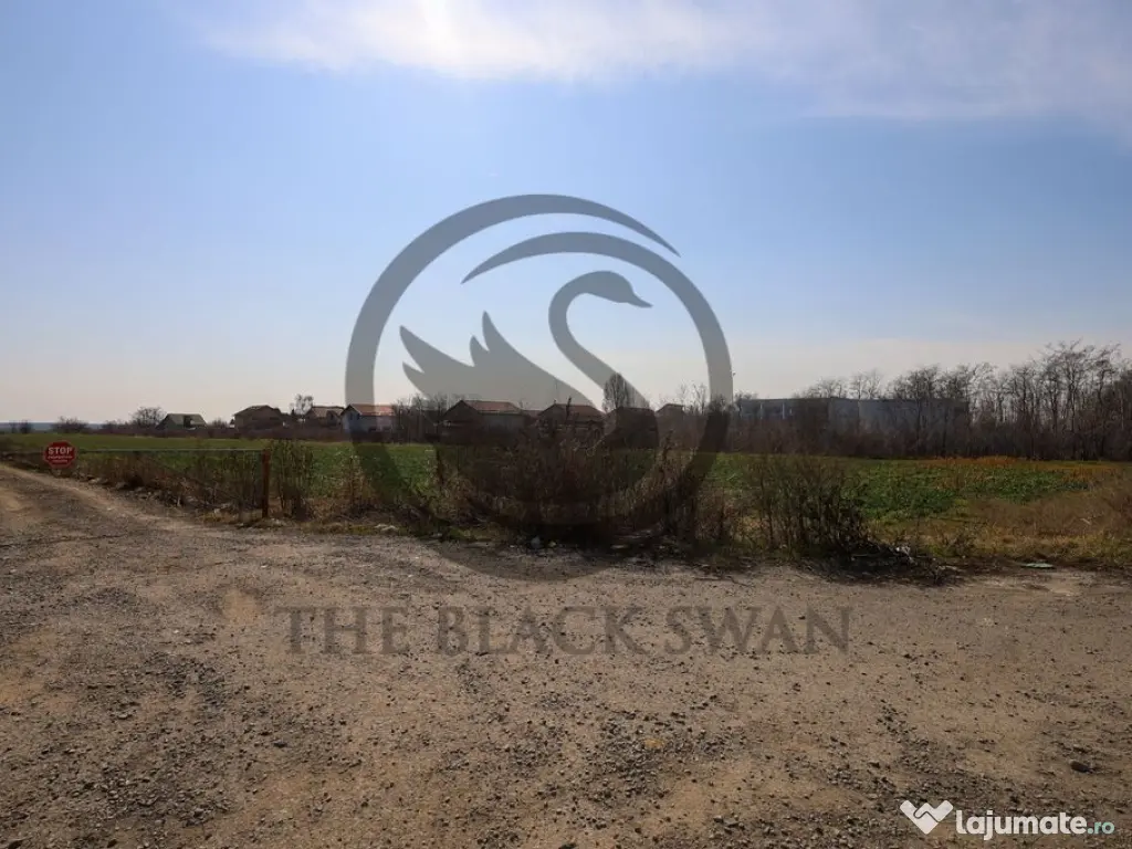 Teren de vanzare/inchiriere | 7800mp | Parcul Industrial ... 