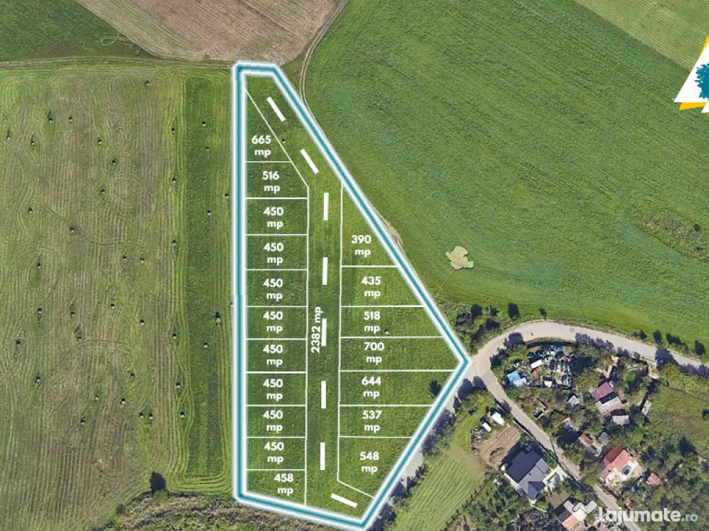 Teren de 11500 mp pentru Complex Rezidențial în Sânnicolau Mic 