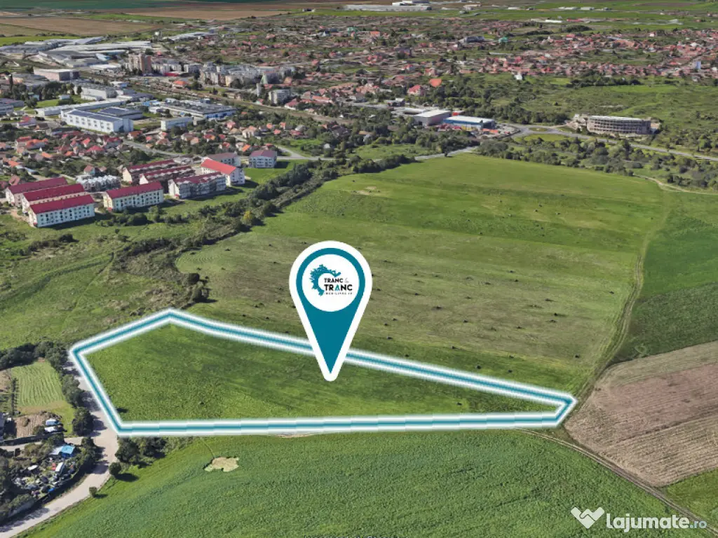 Teren de 11500 mp pentru Complex Rezidențial în Sânnicolau Mic 