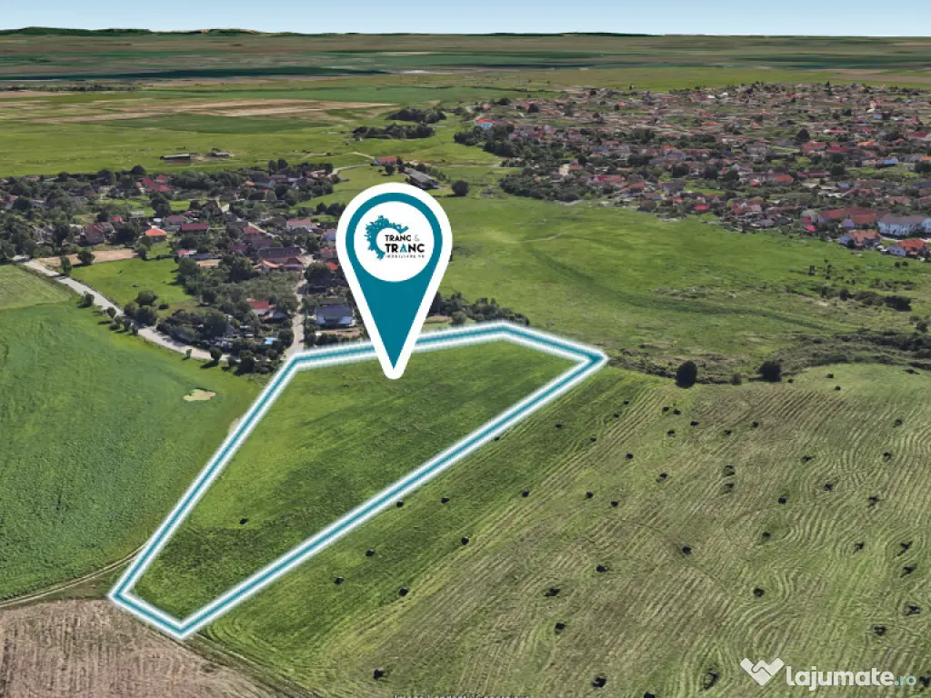 Teren de 11500 mp pentru Complex Rezidențial în Sânnicolau Mic 