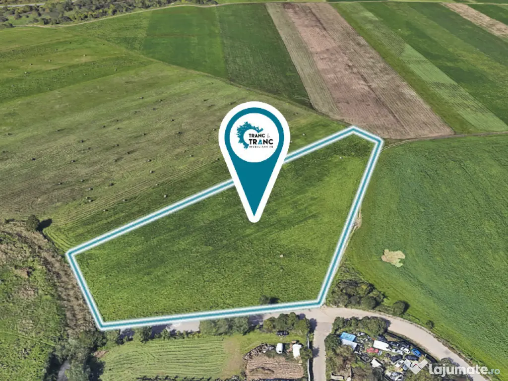 Teren de 11500 mp pentru Complex Rezidențial în Sânnicolau Mic 