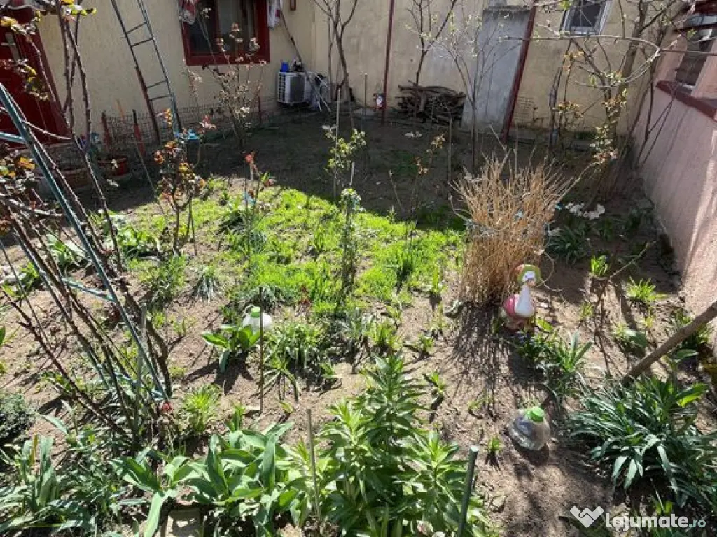 Două case Coiciu-Inel 1 